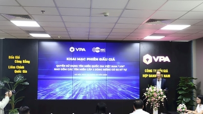 Національне доменне ім'я «.vn» було продано на аукціоні майже за 1,6 мільярда донгів.