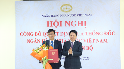 Appointment of Deputy Director of the Information Technology Department