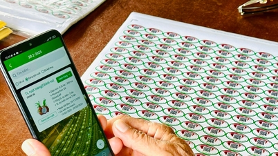 Lam Dong province to implement traceability for agricultural, forestry, and aquatic products in 2026.