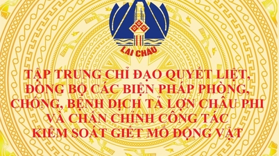 Tập trung chỉ đạo quyết liệt, đồng bộ các biện pháp phòng, chống bệnh Dịch tả lợn Châu Phi và chấn chỉnh công tác kiểm soát giết mổ động vật
