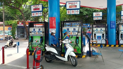 There is sufficient basis to accelerate the transition to E10 biofuel in April.