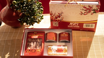 Masa Foods captures the essence of Lang Son in every product.