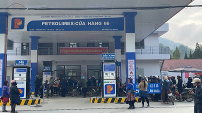 Đảm bảo cung ứng xăng dầu trên địa bàn tỉnh Lào Cai