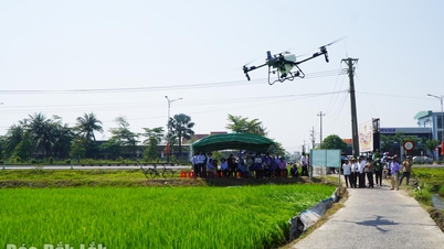 Tuy Hoa Ward showcases model rice fields.