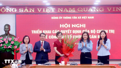 Le Comité du Parti de l'Agence de presse vietnamienne (VNA) met en œuvre la décision du Bureau politique en matière d'organisation et de personnel.
