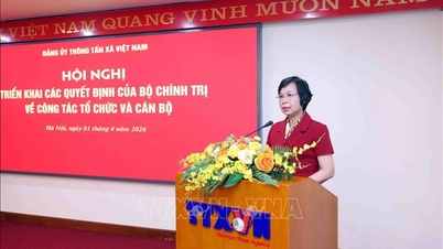 Výbor strany VNA (Vietnamská tisková agentura) provádí rozhodnutí politbyra v organizačních a personálních záležitostech.