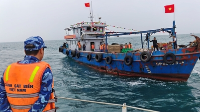 Vietnam üzerinden balıkçılık ve su ürünleri taşımacılığı yapan yabancı gemilerin kontrolüne ilişkin düzenlemeler.