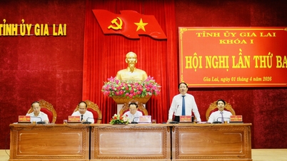 3. konferanse i eksekutivkomiteen i Gia Lai provinsielle partikomité