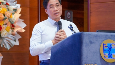 El Centro Médico Universitario de Ciudad Ho Chi Minh realizó 113 trasplantes de hígado.