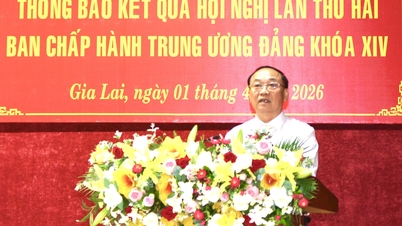 Announcement of the results of the Second Conference of the Central Committee of the 14th Party Congress
