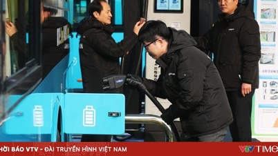 Le Vietnam et le modèle de développement des stations de recharge pour véhicules électriques : les leçons des pays qui ont précédé.