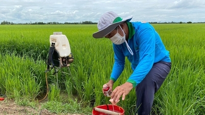 តម្លៃជីថ្ងៃនេះ ថ្ងៃទី 1 ខែមេសា ឆ្នាំ 2026៖ តម្លៃជីអ៊ុយរ៉េពិភពលោកកើនឡើង តម្លៃក្នុងស្រុកនៅតែមានស្ថេរភាព។