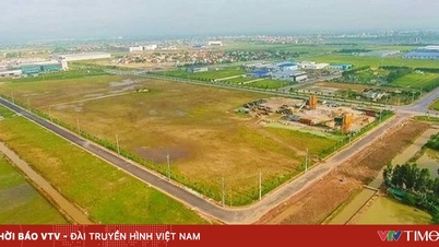 La ville d'Hô Chi Minh-Ville vise un système « sans papier » de gestion foncière.
