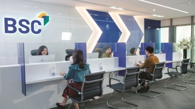 Η BSC Securities στοχεύει σε κέρδη 700 δισεκατομμυρίων VND το 2026.