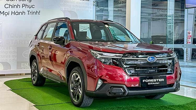 O Subaru Forester terá uma redução de preço de pelo menos 278 milhões de VND em abril de 2026.