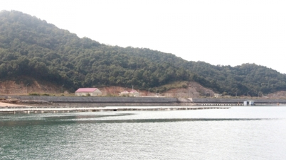 Construction of the Van Don Aquatic Seed Production Center with a capacity of over 8 billion fry/year.