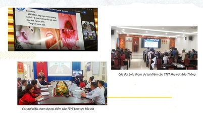 Training on the diagnosis and treatment of hand, foot, and mouth disease.
