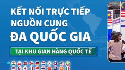Invito a visitare la 35ª Fiera Internazionale del Commercio del Vietnam (VIETNAM EXPO 2026)