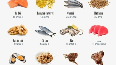 5 zlatých skupin potravin, které pomáhají čistit cévy a předcházet tvorbě krevních sraženin.
