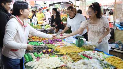 ពិធីបុណ្យនំប្រពៃណីវៀតណាមខាងត្បូងឆ្នាំ ២០២៦ នឹងមានផែនទីប្រទេសវៀតណាមដែលធ្វើពីអង្ករស្អិតដែលមានទម្ងន់ ៧០០ គីឡូក្រាម និងប្រើប្រាស់ពណ៌ចំនួន ៣៤ ផ្សេងៗគ្នា។
