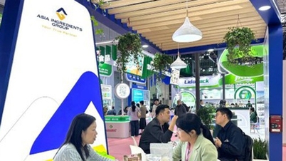 AIG își reafirmă poziția de lider la Hotelex Shanghai 2026.