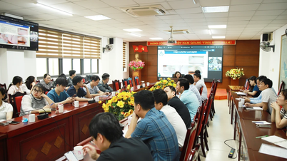 The Lao Cai Health Department participated in online training on the diagnosis and treatment of hand, foot, and mouth disease.