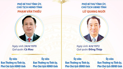 Key leadership positions of the Ca Mau Provincial People's Council and People's Committee for the 2026-2031 term.