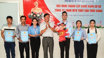 Înființarea unui sindicat la nivel local la Truc Giang Aquatic Products Co., Ltd.