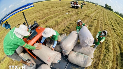 As exportações de produtos agrícolas, florestais e aquáticos nos primeiros três meses de 2026 são estimadas em US$ 16,69 bilhões.