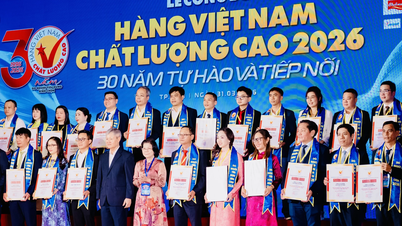 Cuibul de pasăre Khanh Hoa: Menținându-și poziția de top în ceea ce privește calitatea înaltă timp de 17 ani.