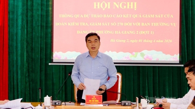 Ha Giang 2. Bölge Parti Komitesi Daimi Komitesi'nin taslak inceleme ve denetim raporu aracılığıyla.