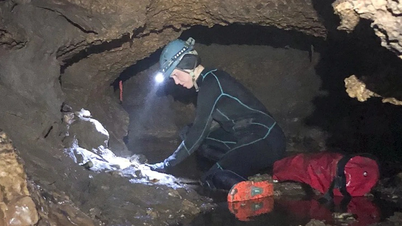 Fóssil descoberto há 100 mil anos em uma caverna no Texas revela fatos surpreendentes.