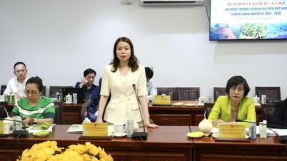 Vedoucí vietnamských zastupitelských kanceláří v zahraničí navštěvují provincii Vinh Long a spolupracují s ní.