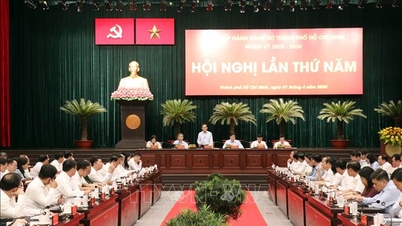 La ville d'Hô-Chi-Minh-Ville milite pour la gratuité des transports en bus pour ses habitants.
