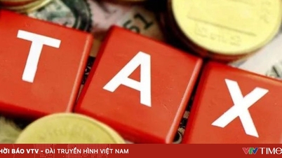 Plus de 400 entreprises réalisant un chiffre d'affaires de plusieurs billions de VND font état de maigres bénéfices.