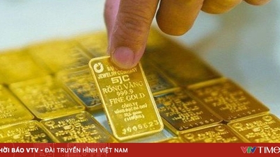 Le prix des lingots d'or approche les 177 millions de VND par tael.