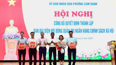 จัดตั้งคณะกรรมการตัวแทนธนาคารนโยบายสังคมในตำบลและเขตต่างๆ ของพื้นที่กัมรานห์