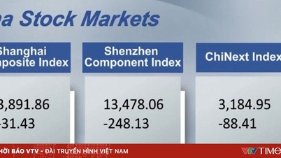 Chinese stocks plunged the most in over two years.