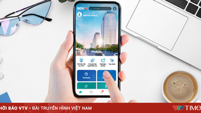 Pihak berwenang memblokir hampir 4 triliun VND dalam transaksi yang diduga curang.