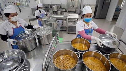 Responsibility for allowing contaminated food into communal kitchens, including school cafeterias.