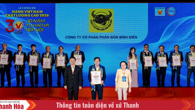 Binh Dien, 22. kez üst üste Yüksek Kaliteli Vietnam Ürünü unvanını alarak, "Çiftçilerin güvenilir ortağı" konumunu sağlam bir şekilde teyit etti.