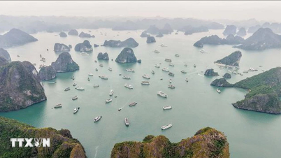 Inauguración de una ruta turística marítima a través de la zona patrimonial entre la bahía de Ha Long y la bahía de Lan Ha.