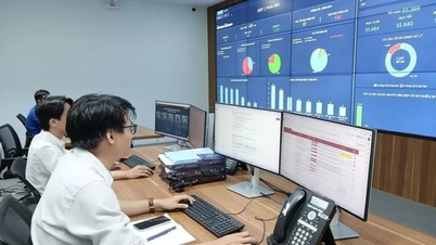 Data inclusion: The foundation for innovation and sustainable development in Vietnam.