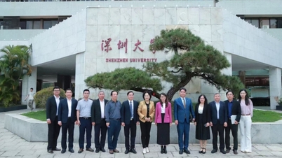 Promouvoir la coopération éducative et scientifique-technologique entre l'Université nationale du Vietnam à Hô Chi Minh-Ville et l'Université de Shenzhen (Chine)