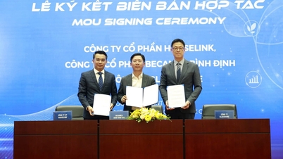 Becamex Binh Dinh: Platform ESG 'yang telah dirancang sebelumnya' bagi bisnis untuk berpartisipasi dalam rantai pasokan global.