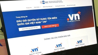 Changes to the allocation of national domain name resources '.vn'