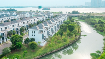 Eco-friendly, smart cities - A launching pad for growth.
