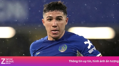 Enzo Fernandez is controversial.
