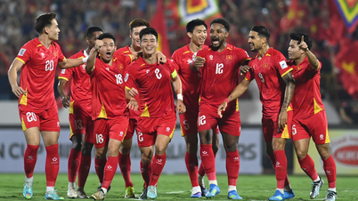 Malaysian newspaper: "We were already losing to Vietnam before the ball even started rolling."