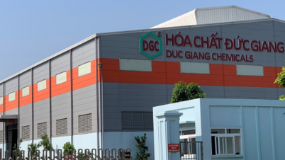 Компания Duc Giang Chemicals просит отложить подачу аудированной финансовой отчетности.